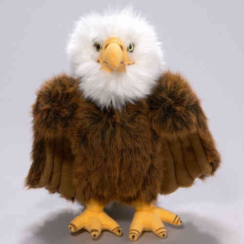 Adler ca.26 cm