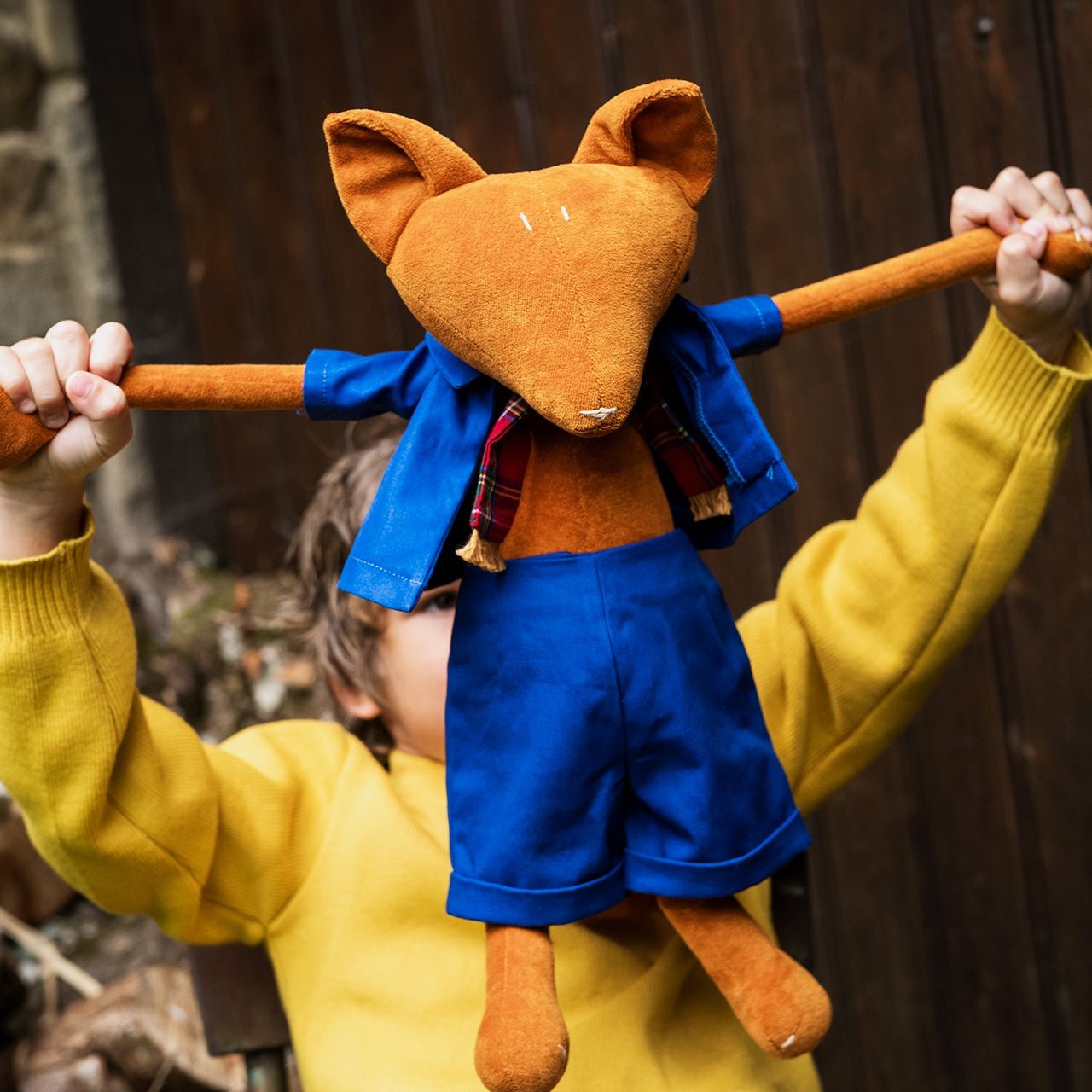 ARTHUS LE RENARD - L