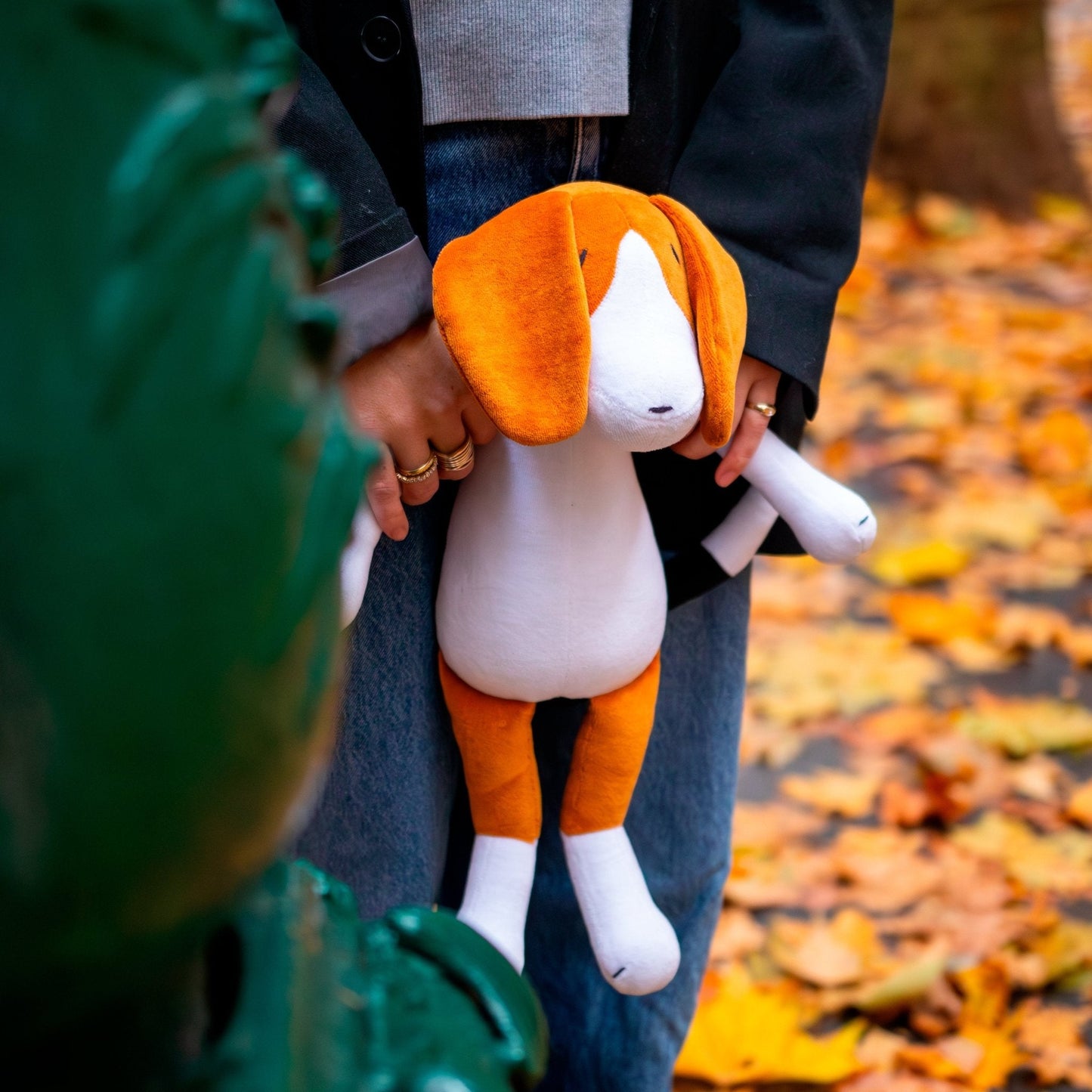 BARRY LE BEAGLE - L