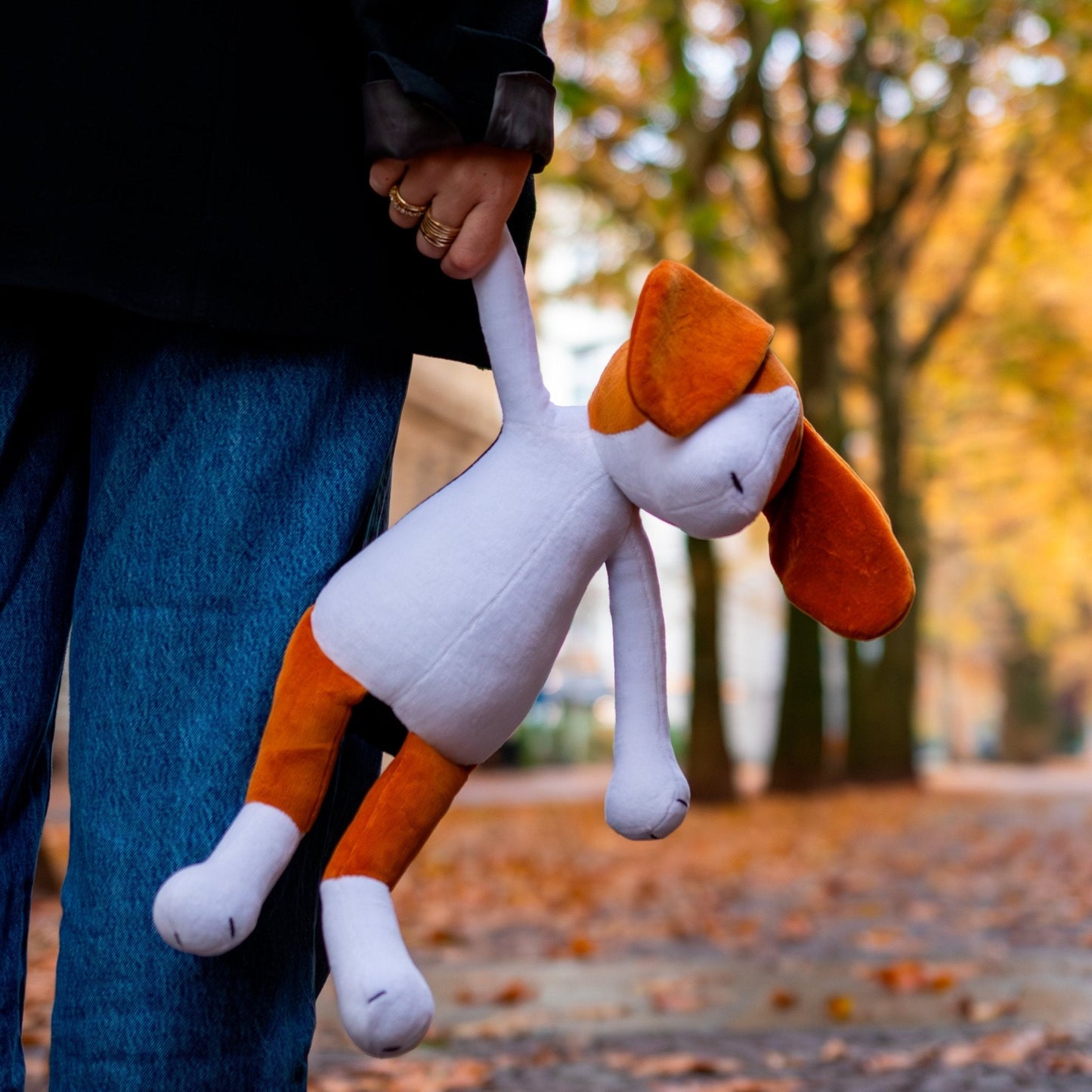 BARRY LE BEAGLE - L