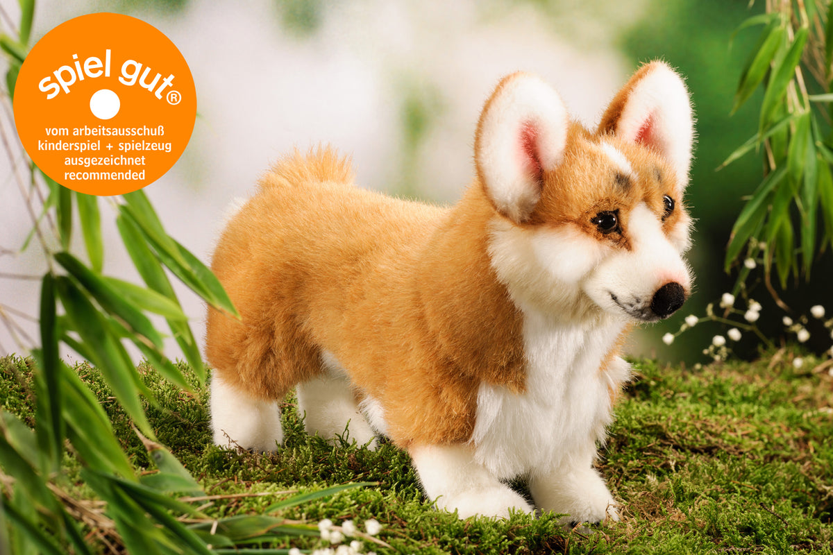 Kösener Welsh Corgi Plüschtier beige und weiß