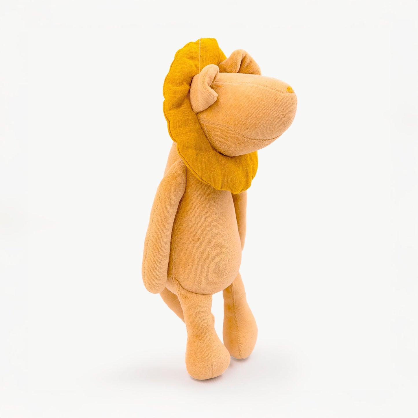LEO LE LIONCEAU - M