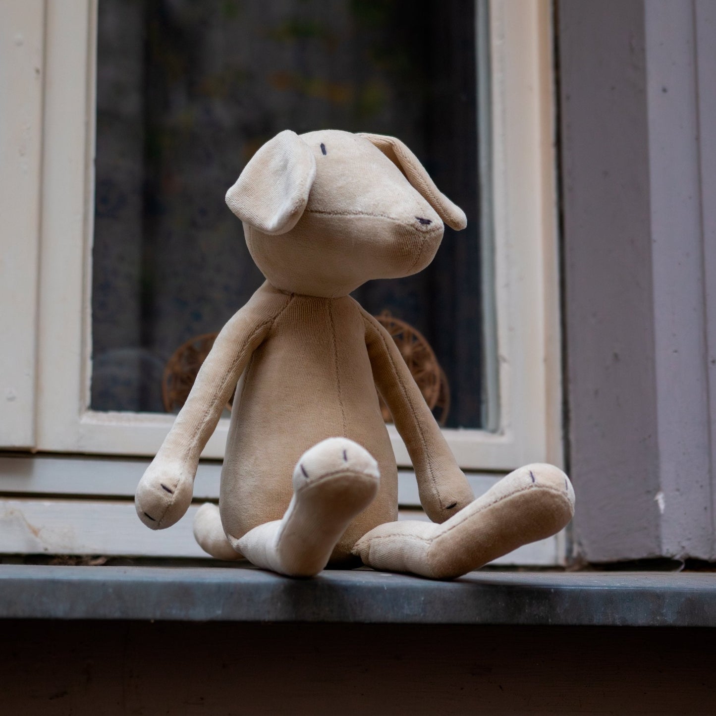 MAX LE LABRADOR - L