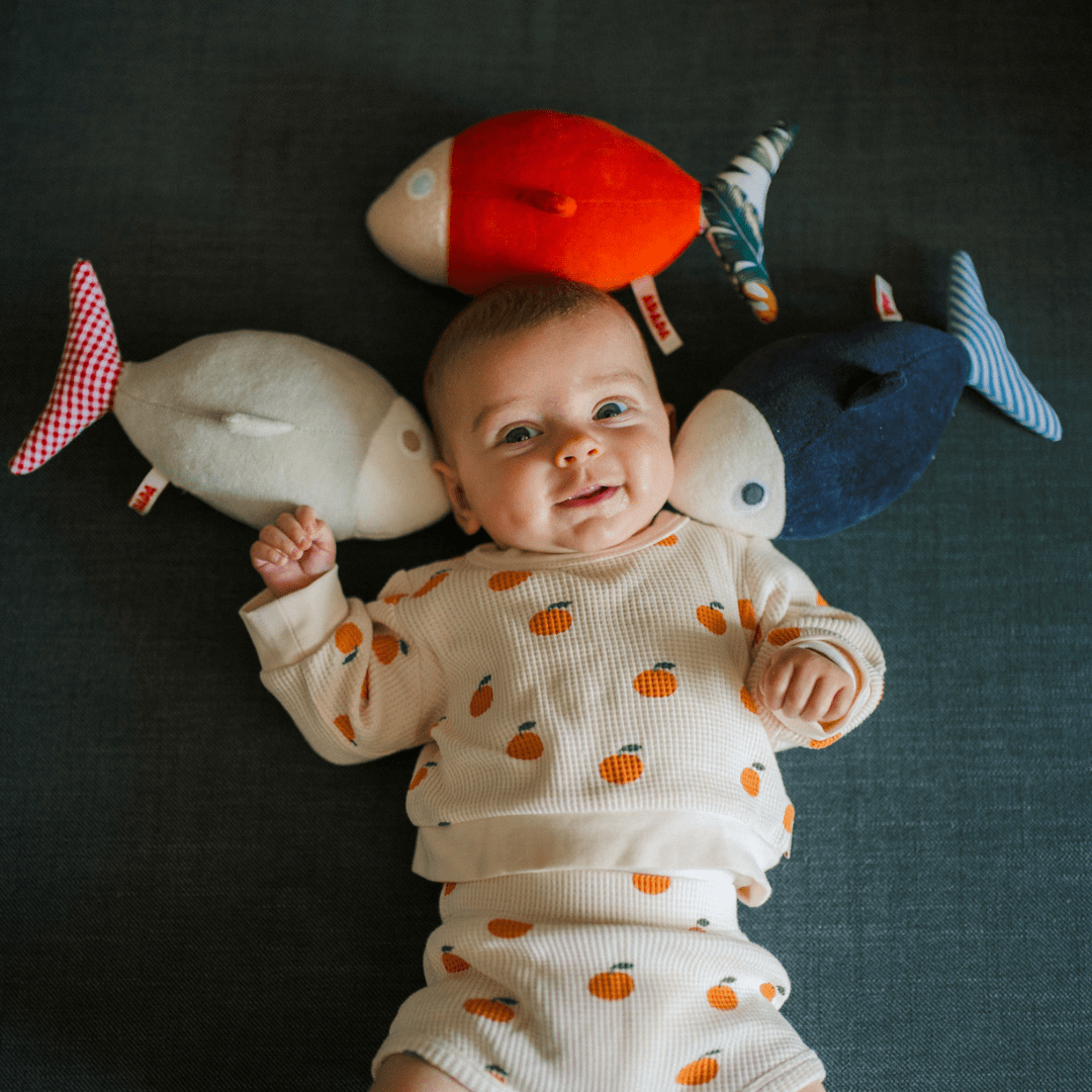 PACK DE 3 POISSONS - MADE IN EU