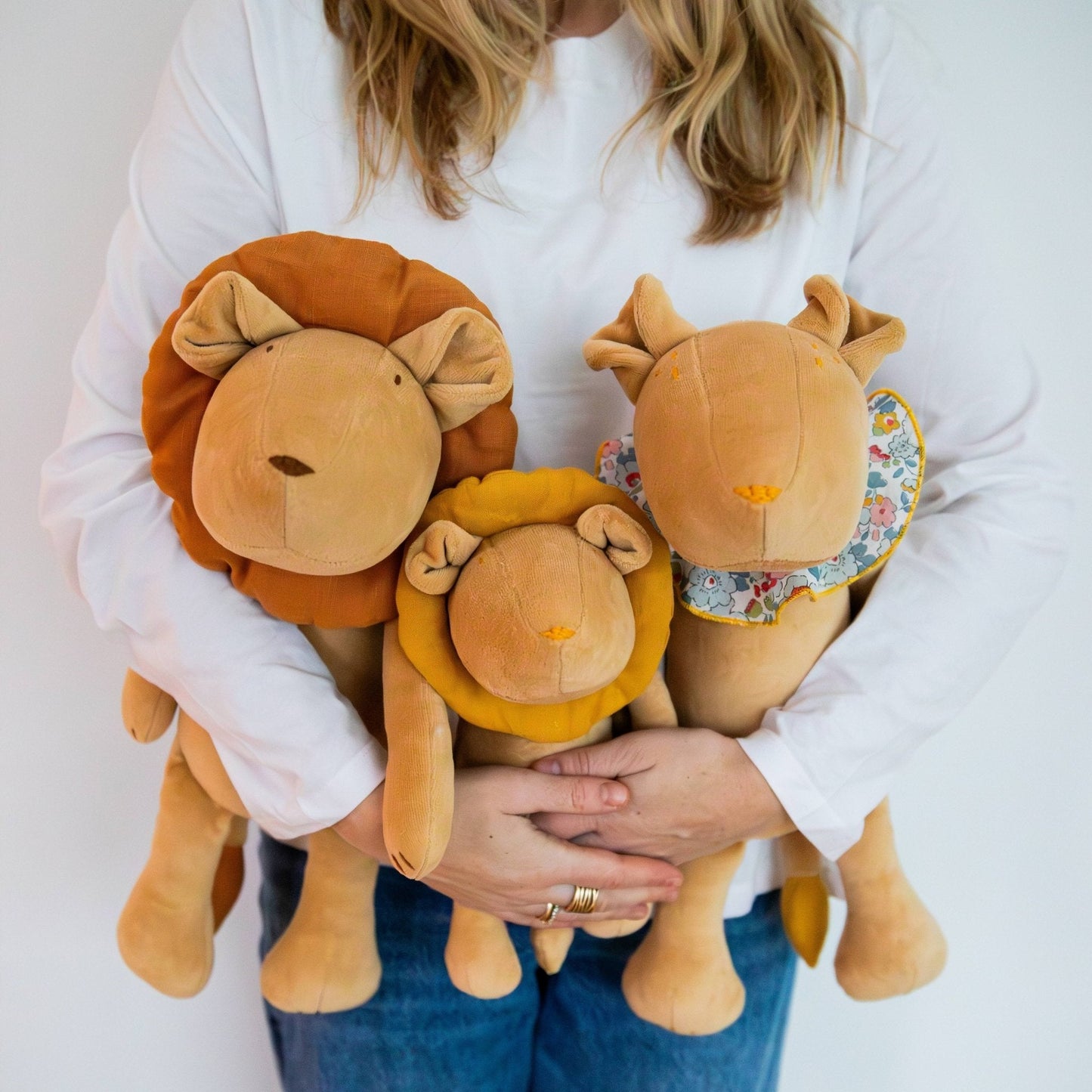 PACK DE 3 - LA FAMILLE DES LIONS